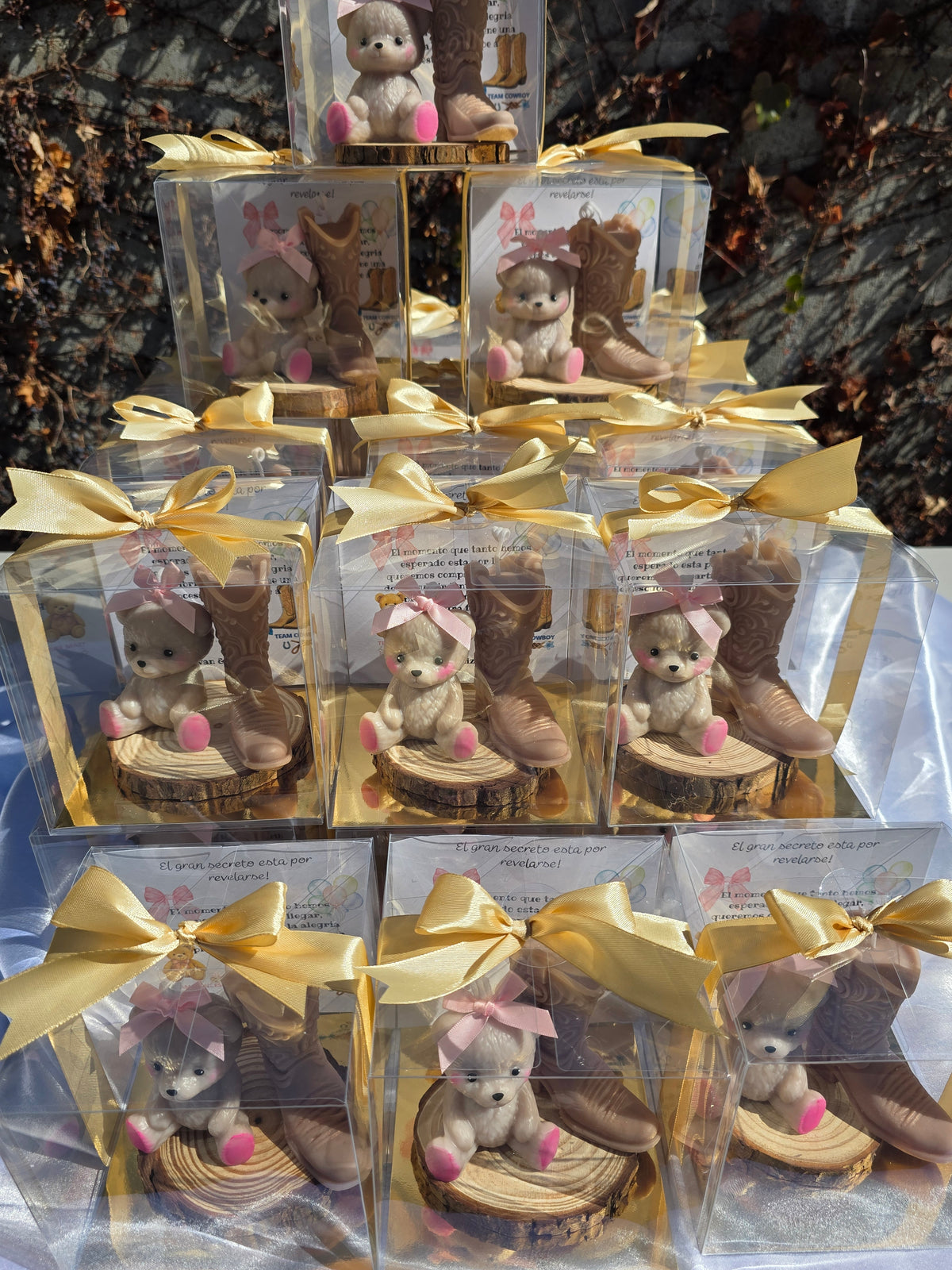 (Set x12)Teddy bear and cowboy boot